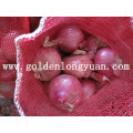 Fresh Red Onion Hot Sale